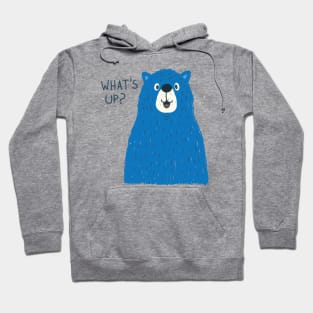 bear what s up Hoodie